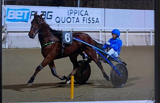 Da Villanova d'Albenga al fascino di San Siro: esordio all'ippodromo milanese per il gentleman driver Alessandro Catalano