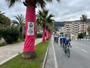 Profumo di Giro ad Andora con la Milano - Sanremo. Le palme si colorano di rosa