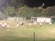 Calcio, Borgio Verezzi. Il gruppo si allena, rossoblu domenica in campo con l'Imperiese (VIDEO)