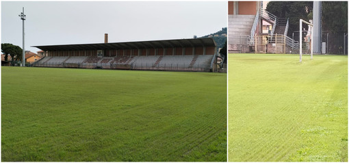 Stadio 'Nino Ciccione' di Imperia, l’erba inizia a germogliare (foto)