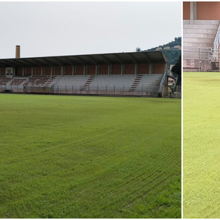 Stadio 'Nino Ciccione' di Imperia, l’erba inizia a germogliare (foto)