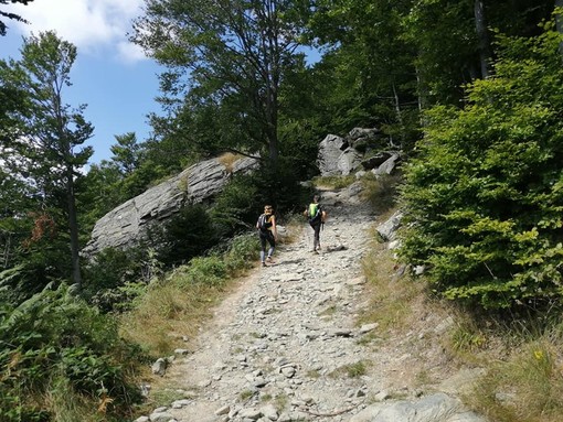 Da Loano a Montaldo di Mondovì, la ASD Maremontana fa rivivere l'antica Roa Marenca