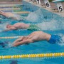 Nuoto, Csi. Amatori e Rari Nantes Savona a caccia di Spezia, successi anche per il Doria Nuoto Loano