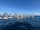 Campionato Mondiale Optimist,  Imperia candidata ad ospitare l'evento clou della vela giovanile