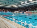 E' il giorno della grande festa biancorossa, alle 17:30 scatta il Rari Nantes Day!