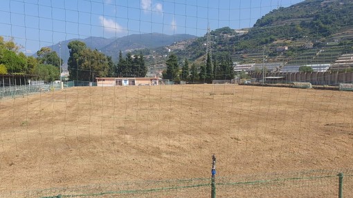 Stadio Sclavi, l'Argentina Arma rilancia: “Se Sanremese e Taggia rinunciano, noi siamo pronti a subentrare&quot;