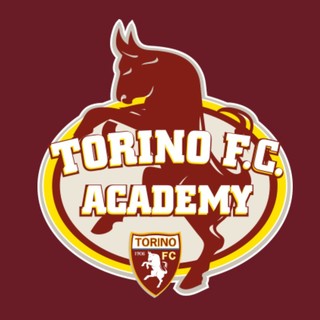 Calcio. La Veloce entra a far parte della Torino Academy